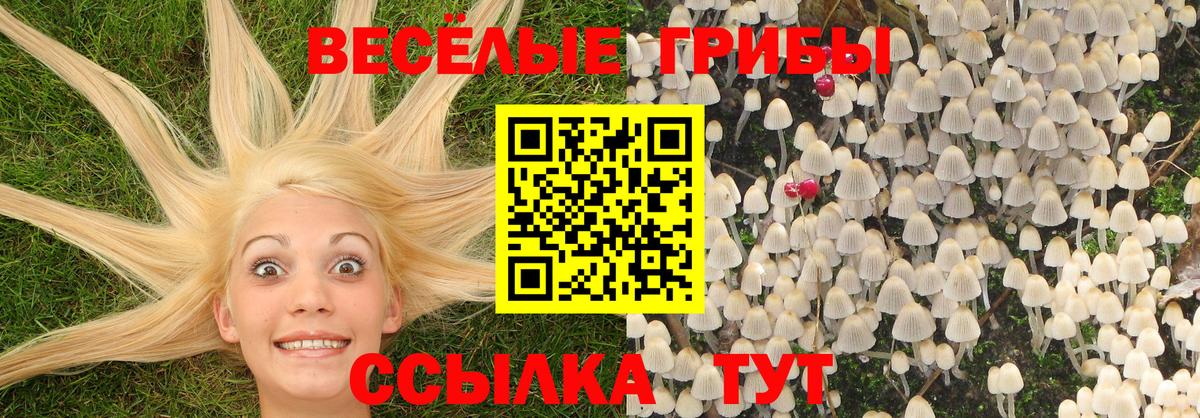 купить   Вход с VPN  Электросталь  Галлюциногенные грибы ЛСД  Псилоцибиновые грибы MAGIC MUSHROOMS 