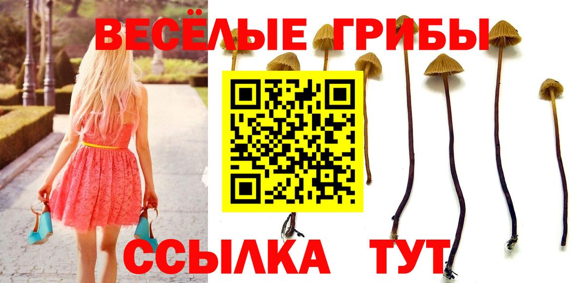 Галлюциногенные грибы мухоморы Электросталь